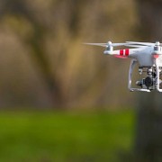 Pesquisadores buscam utilizar drones para reflorestamento