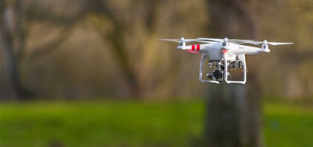 Pesquisadores buscam utilizar drones para reflorestamento