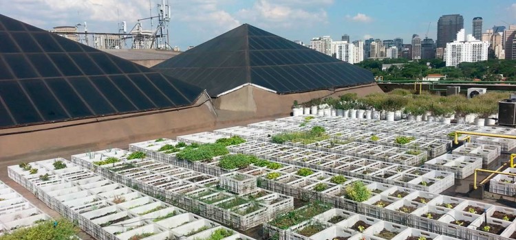 Shopping de São Paulo investe para reduzir lixo orgânico descartado